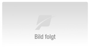 Catalogues 2025