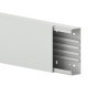 morepic-1