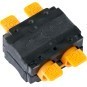morepic-1