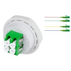 OTO-GLD-PG21-04LC/APC-4 