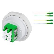 BUDI-SET-OTO-ID-GLD-04LC/APC 