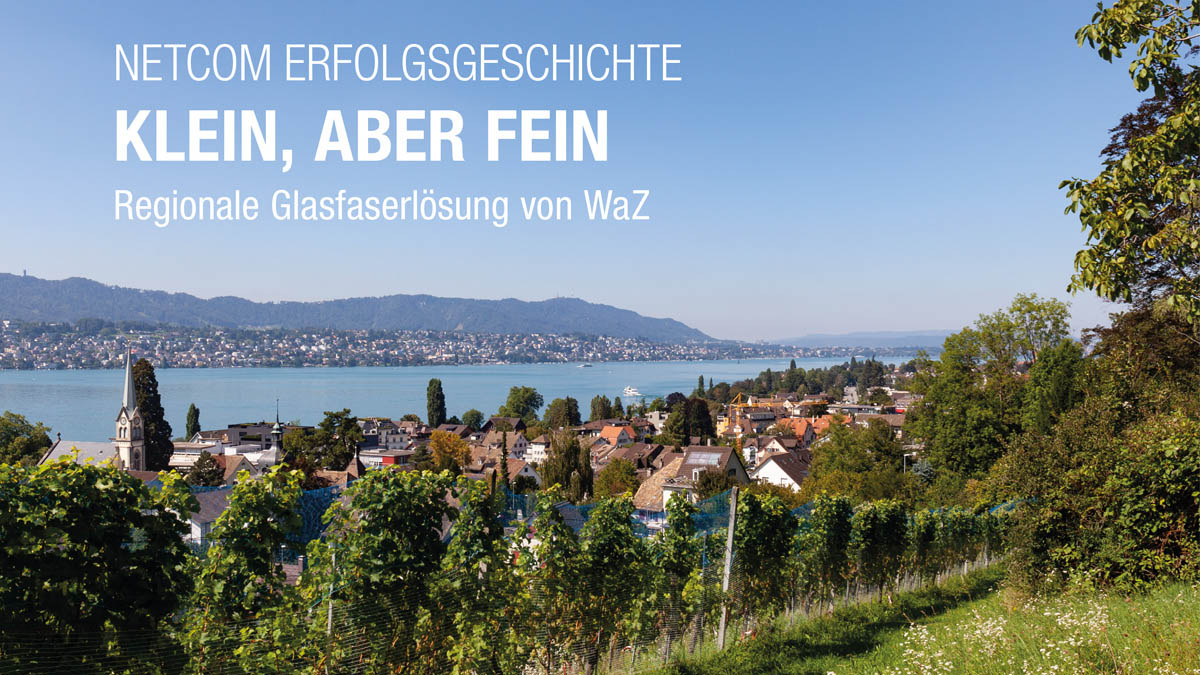 WERKE AM ZÜRICHSEE