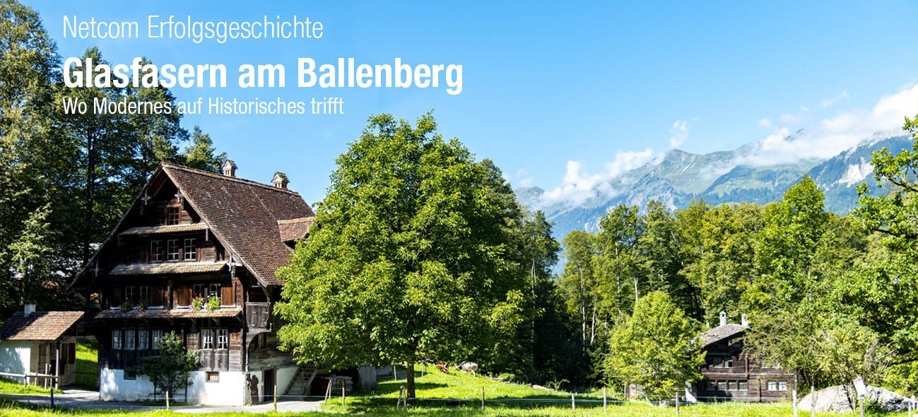 Glasfasern am Ballenberg